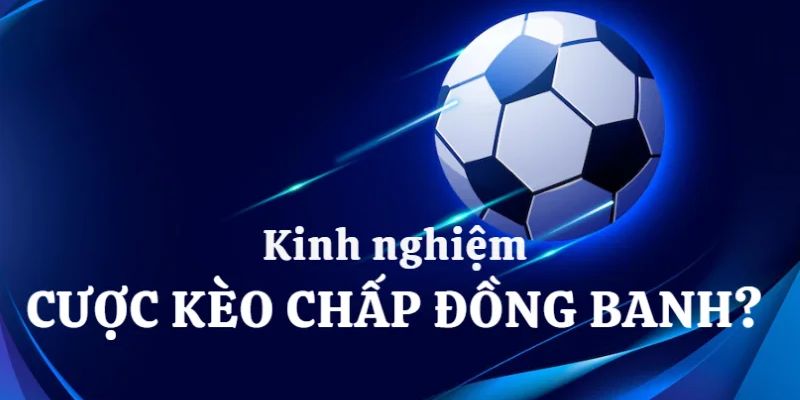 Mẹo cá cược kèo hòa đạt hiệu quả cao