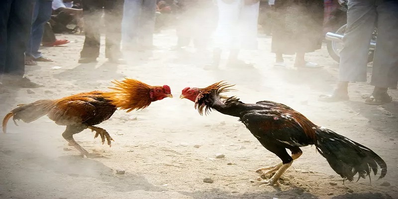 Thu về thắng lợi nhờ bỏ túi những sai lầm cần tránh