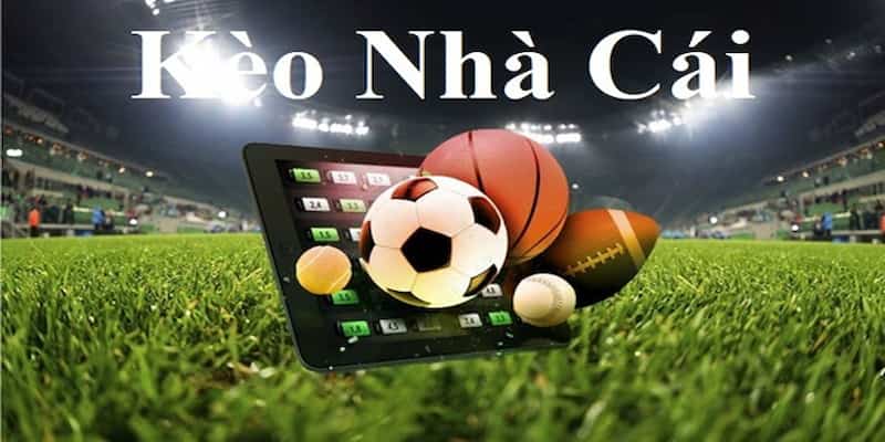 Kèo nhà cái trực tiếp mang đến thế giới cá cược hấp dẫn