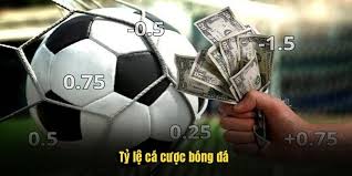 Tỷ lệ cá cược đang là yếu tố được nhiều người quan tâm trong game này